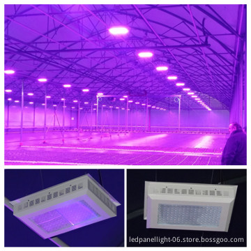 Newest Greenhouse Grow Led Lights 300w,Vegetative 300w Led Grow Lights Grow Panel Grow Lamps